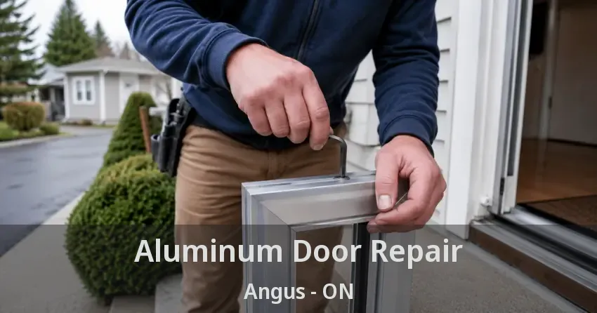Aluminum Door Repair Angus - ON