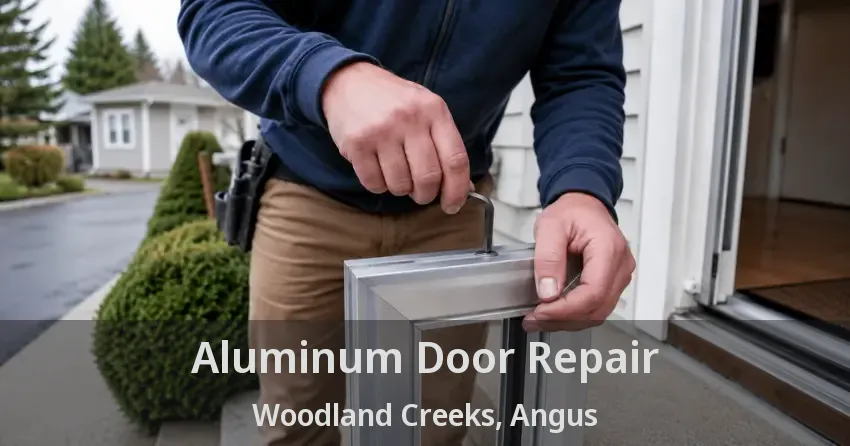Aluminum Door Repair Woodland Creeks, Angus - ON
