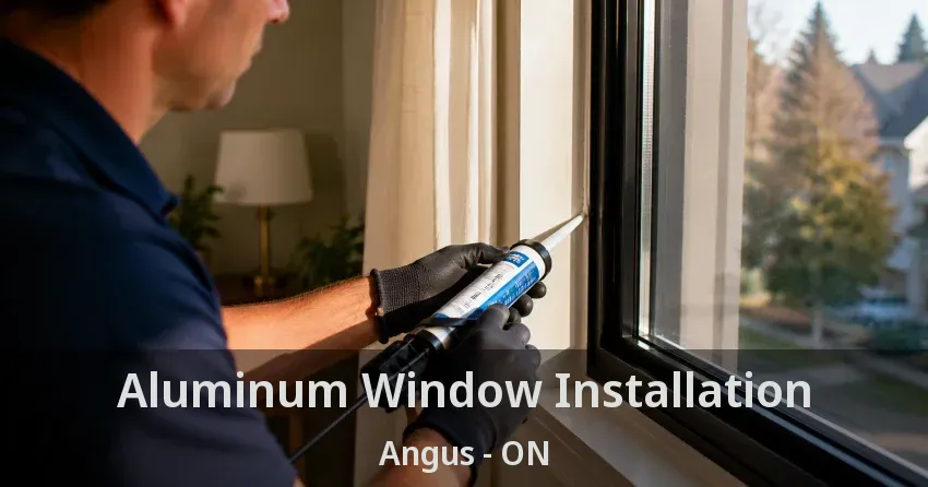 Aluminum Window Installation Angus - ON