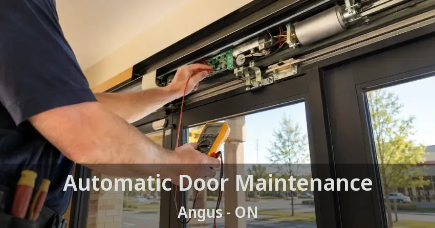 Automatic Door Maintenance Angus - ON