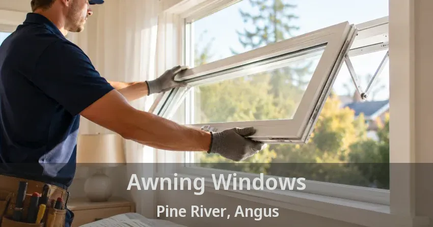 Awning Windows Pine River, Angus - ON