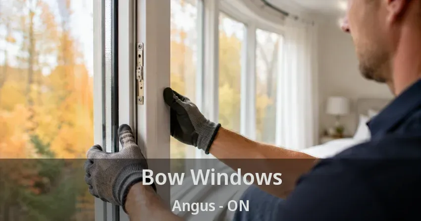 Bow Windows Angus - ON