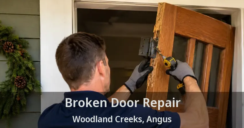 Broken Door Repair Woodland Creeks, Angus - ON