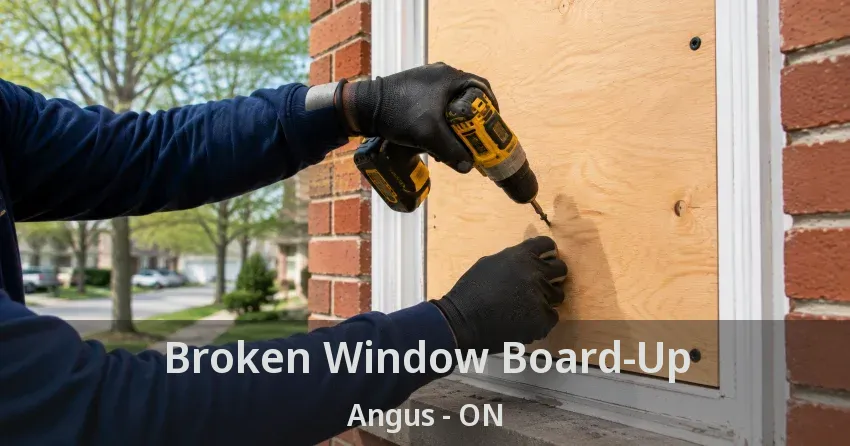 Broken Window Board-Up Angus - ON