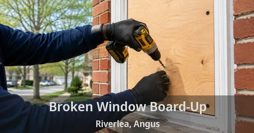Broken Window Board-Up Riverlea, Angus - ON