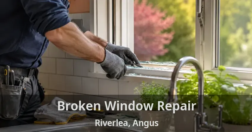 Broken Window Repair Riverlea, Angus - ON