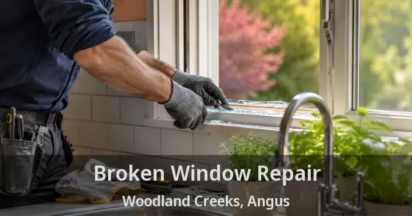 Broken Window Repair Woodland Creeks, Angus - ON