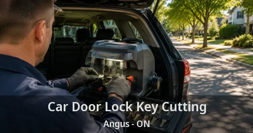 Car Door Lock Key Cutting Angus - ON