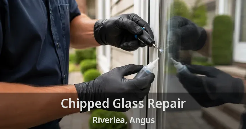 Chipped Glass Repair Riverlea, Angus - ON