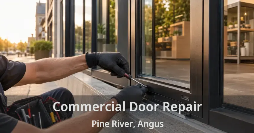Commercial Door Repair Pine River, Angus - ON