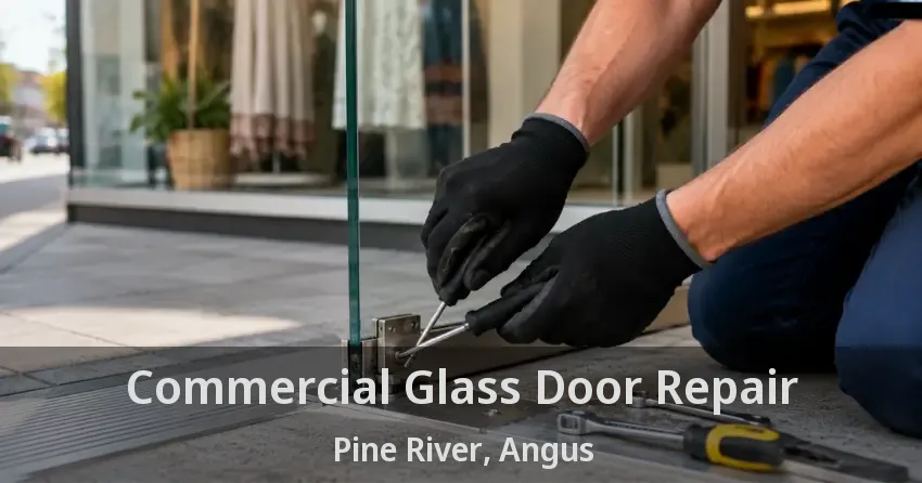 Commercial Glass Door Repair Pine River, Angus - ON