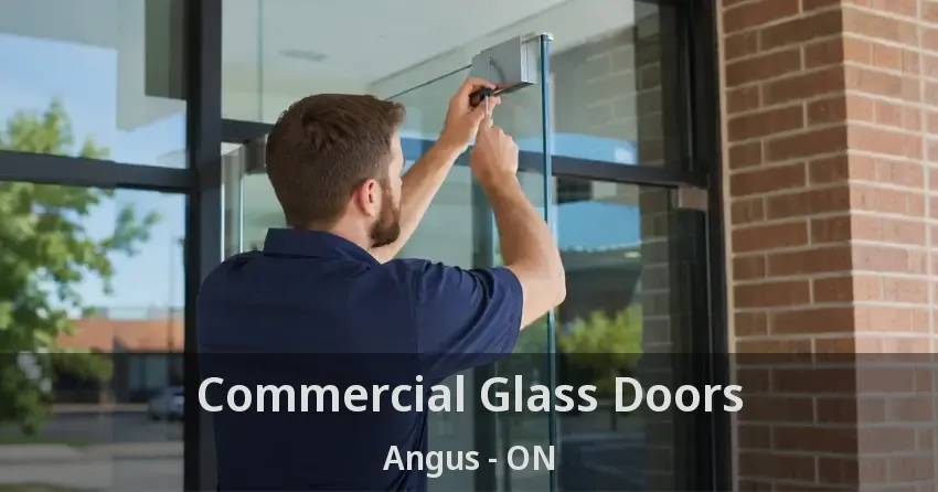 Commercial Glass Doors Angus - ON
