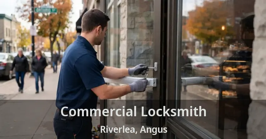 Commercial Locksmith Riverlea, Angus - ON