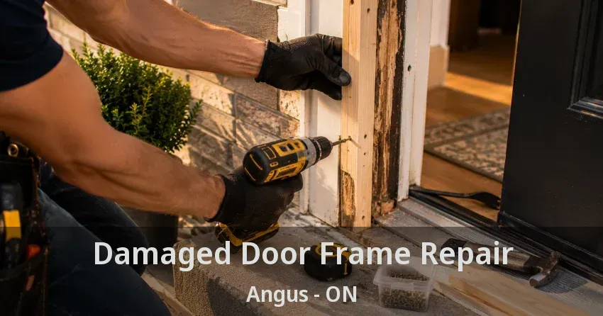 Damaged Door Frame Repair Angus - ON