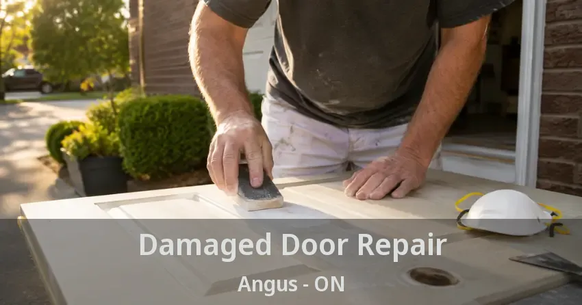 Damaged Door Repair Angus - ON