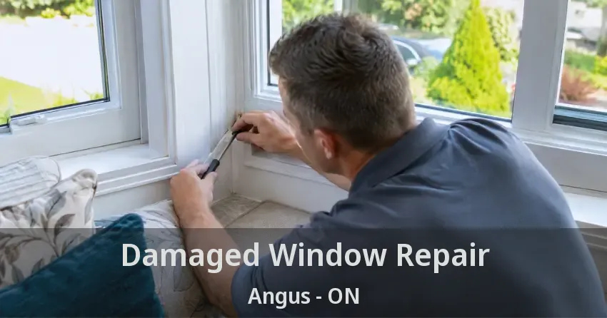 Damaged Window Repair Angus - ON