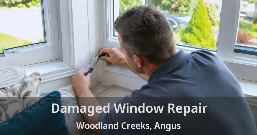 Damaged Window Repair Woodland Creeks, Angus - ON