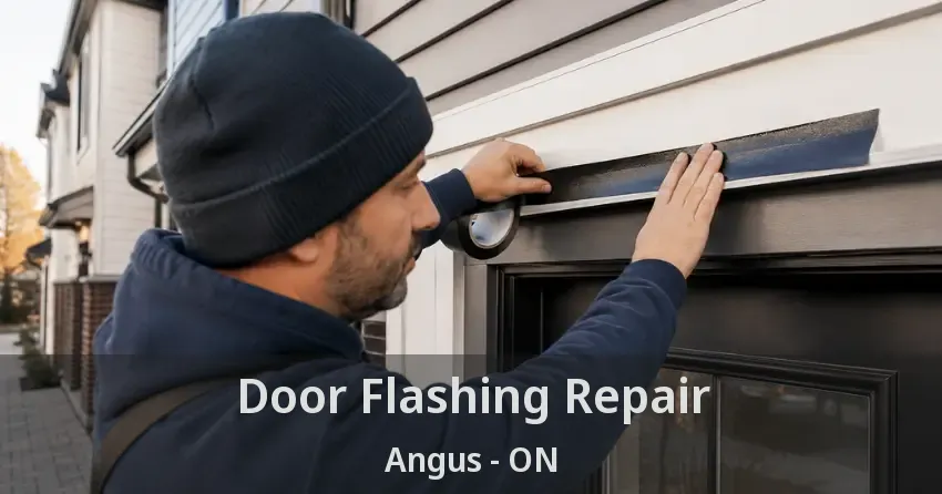 Door Flashing Repair Angus - ON
