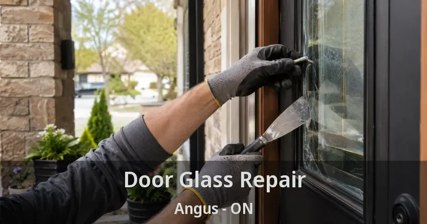 Door Glass Repair Angus - ON