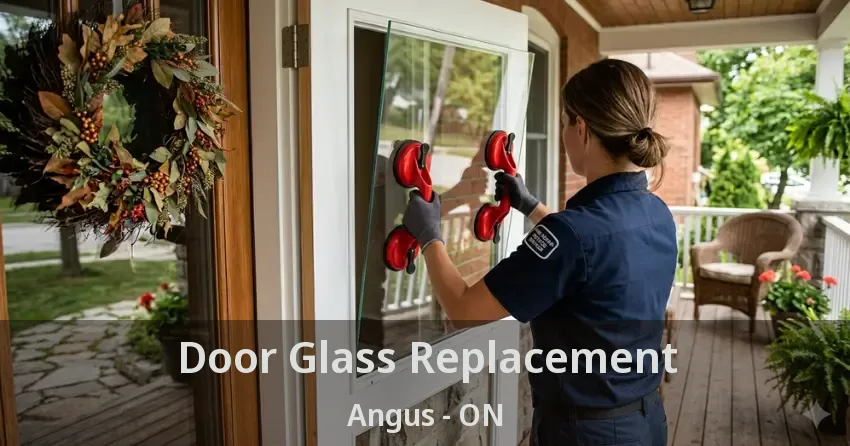Door Glass Replacement Angus - ON