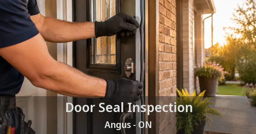Door Seal Inspection Angus - ON