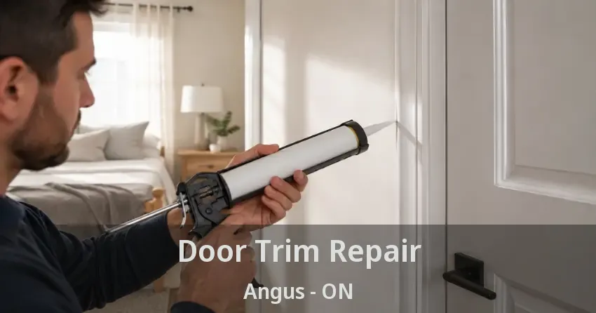 Door Trim Repair Angus - ON