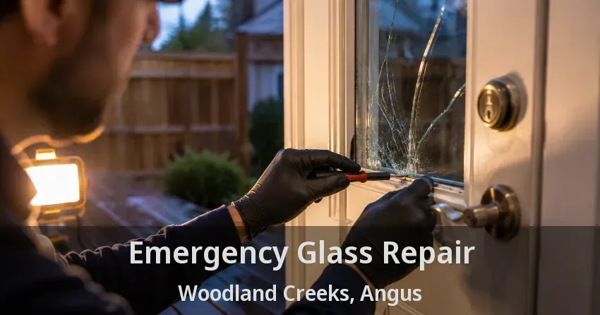 Emergency Glass Repair Woodland Creeks, Angus - ON
