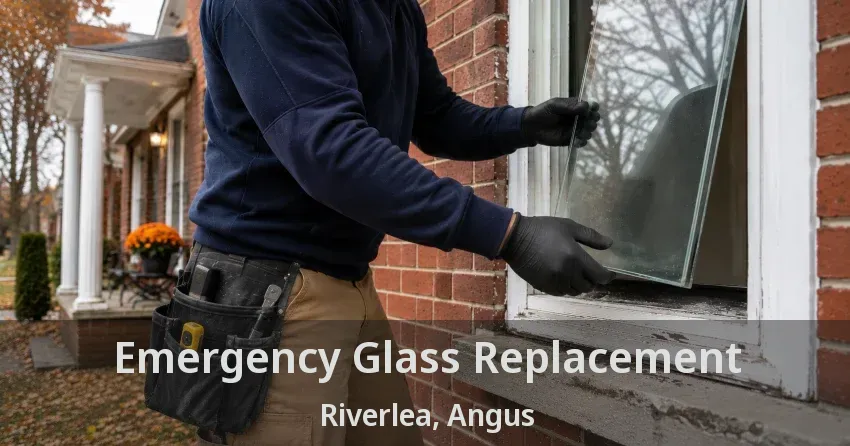 Emergency Glass Replacement Riverlea, Angus - ON