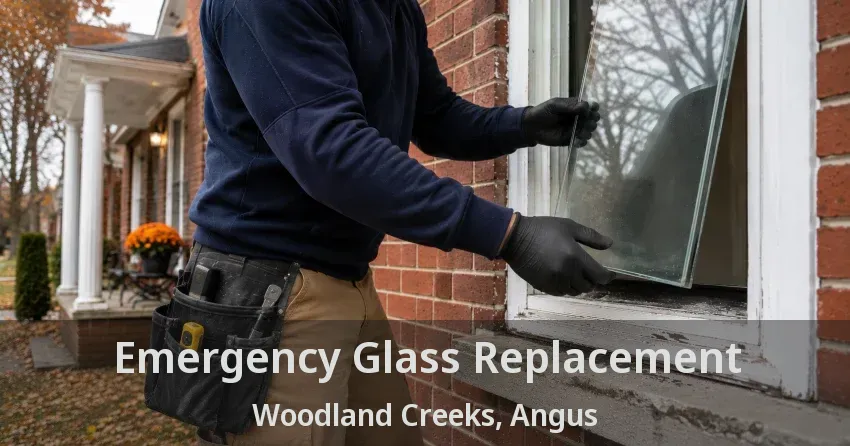Emergency Glass Replacement Woodland Creeks, Angus - ON