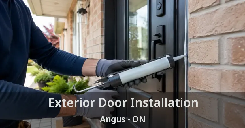 Exterior Door Installation Angus - ON