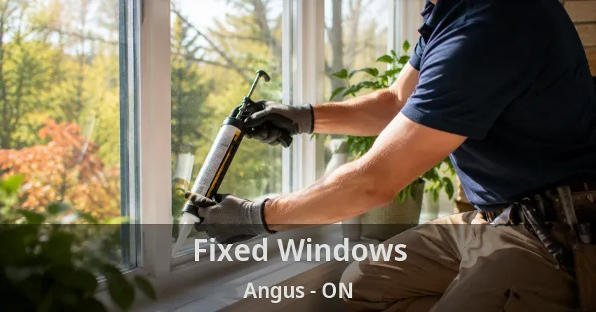 Fixed Windows Angus - ON