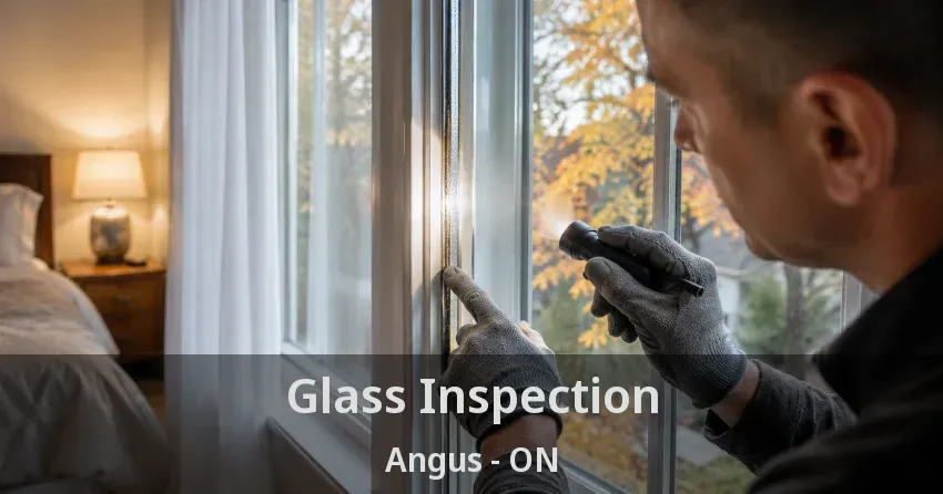 Glass Inspection Angus - ON