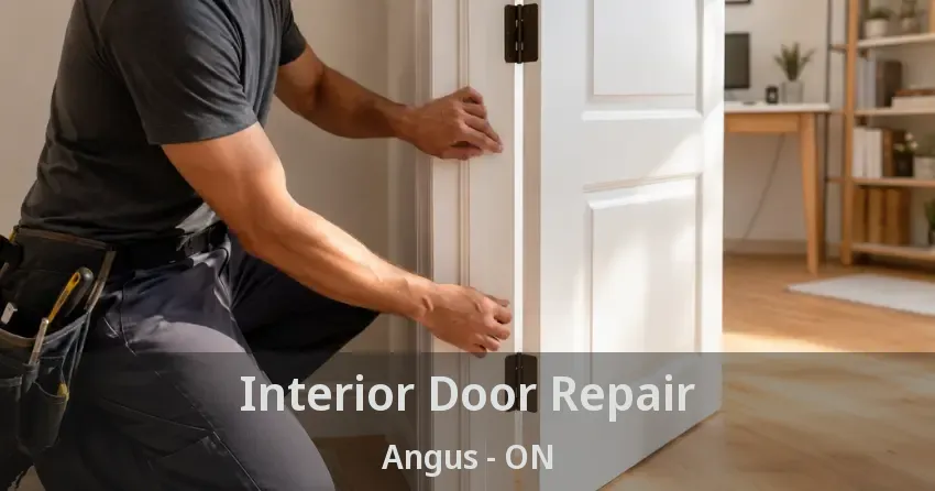 Interior Door Repair Angus - ON