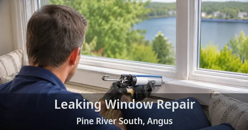 Leaking Window Repair Pine River South, Angus - ON