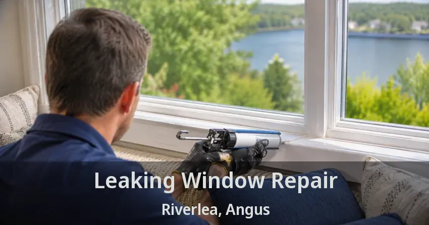 Leaking Window Repair Riverlea, Angus - ON
