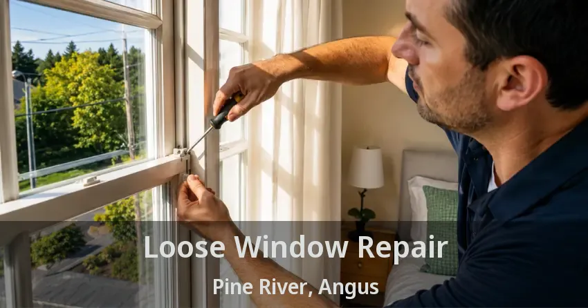 Loose Window Repair Pine River, Angus - ON