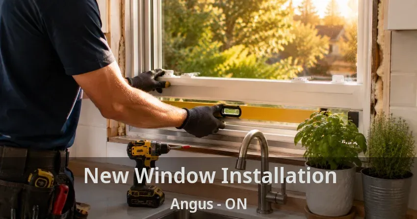 New Window Installation Angus - ON