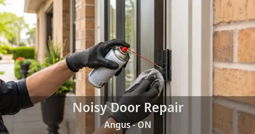 Noisy Door Repair Angus - ON