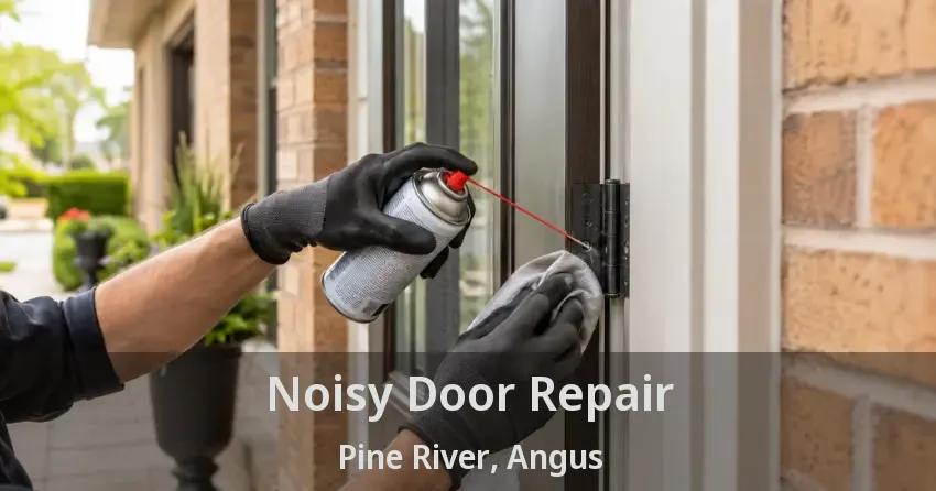 Noisy Door Repair Pine River, Angus - ON