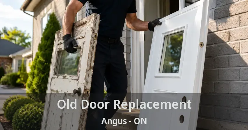 Old Door Replacement Angus - ON