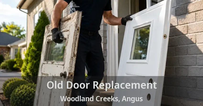 Old Door Replacement Woodland Creeks, Angus - ON