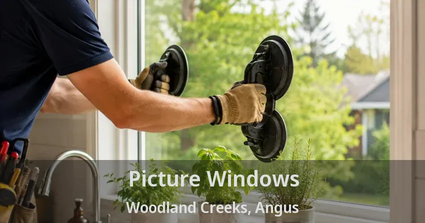 Picture Windows Woodland Creeks, Angus - ON