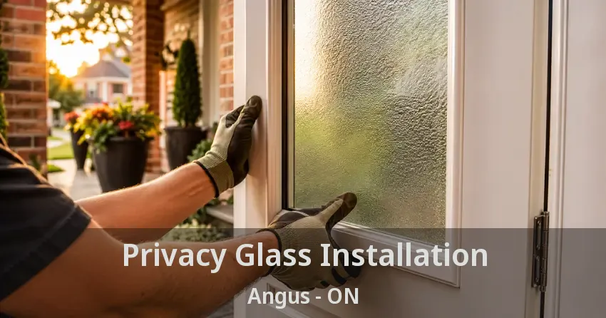 Privacy Glass Installation Angus - ON