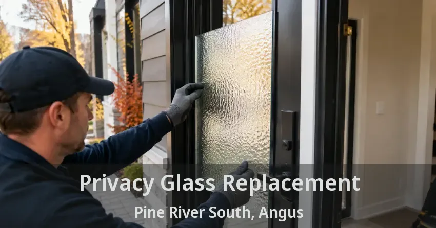 Privacy Glass Replacement Pine River South, Angus - ON