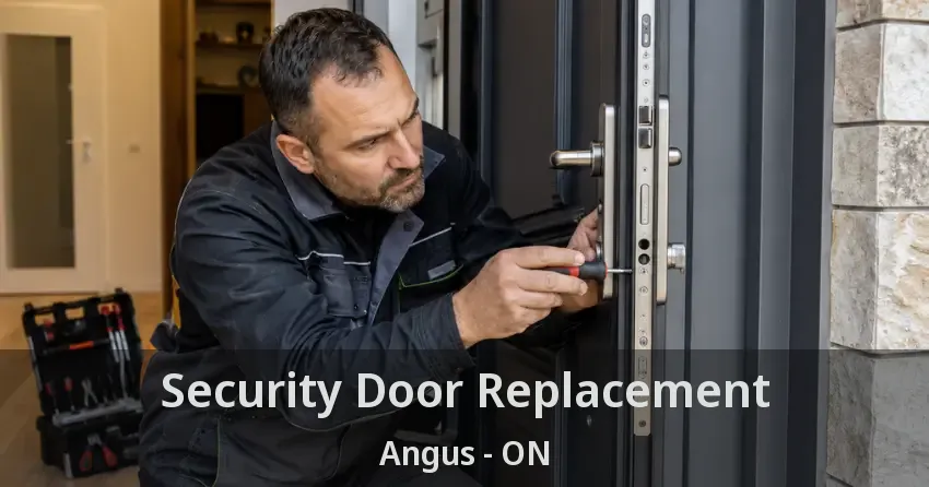 Security Door Replacement Angus - ON