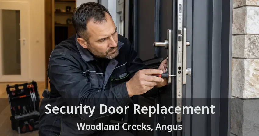 Security Door Replacement Woodland Creeks, Angus - ON