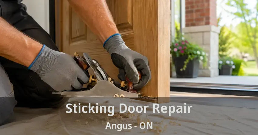 Sticking Door Repair Angus - ON