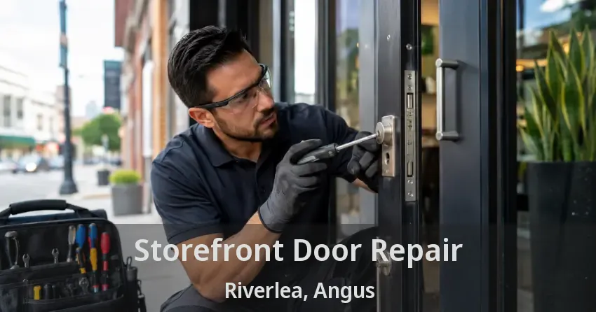 Storefront Door Repair Riverlea, Angus - ON