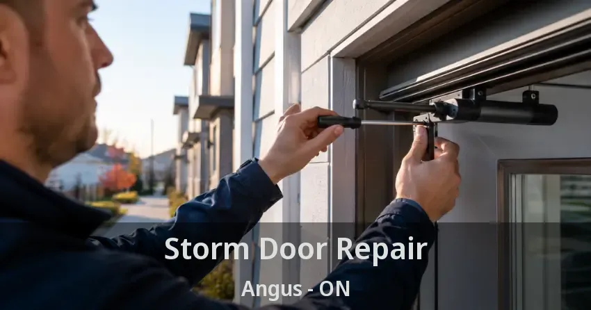 Storm Door Repair Angus - ON