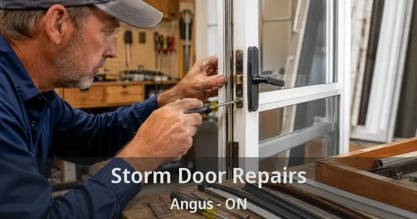 Storm Door Repairs Angus - ON